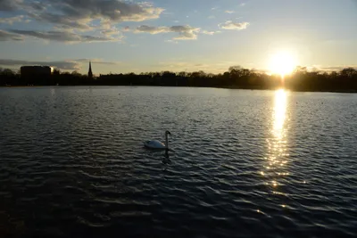 DSC_7144 (Large).JPG